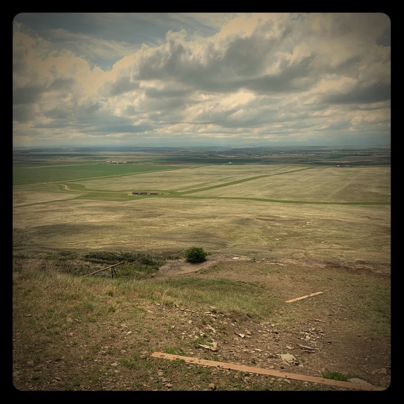 Meet your Posher, Joni - Picture 1 of 1